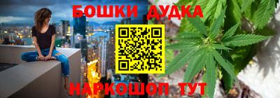 индика Брянск